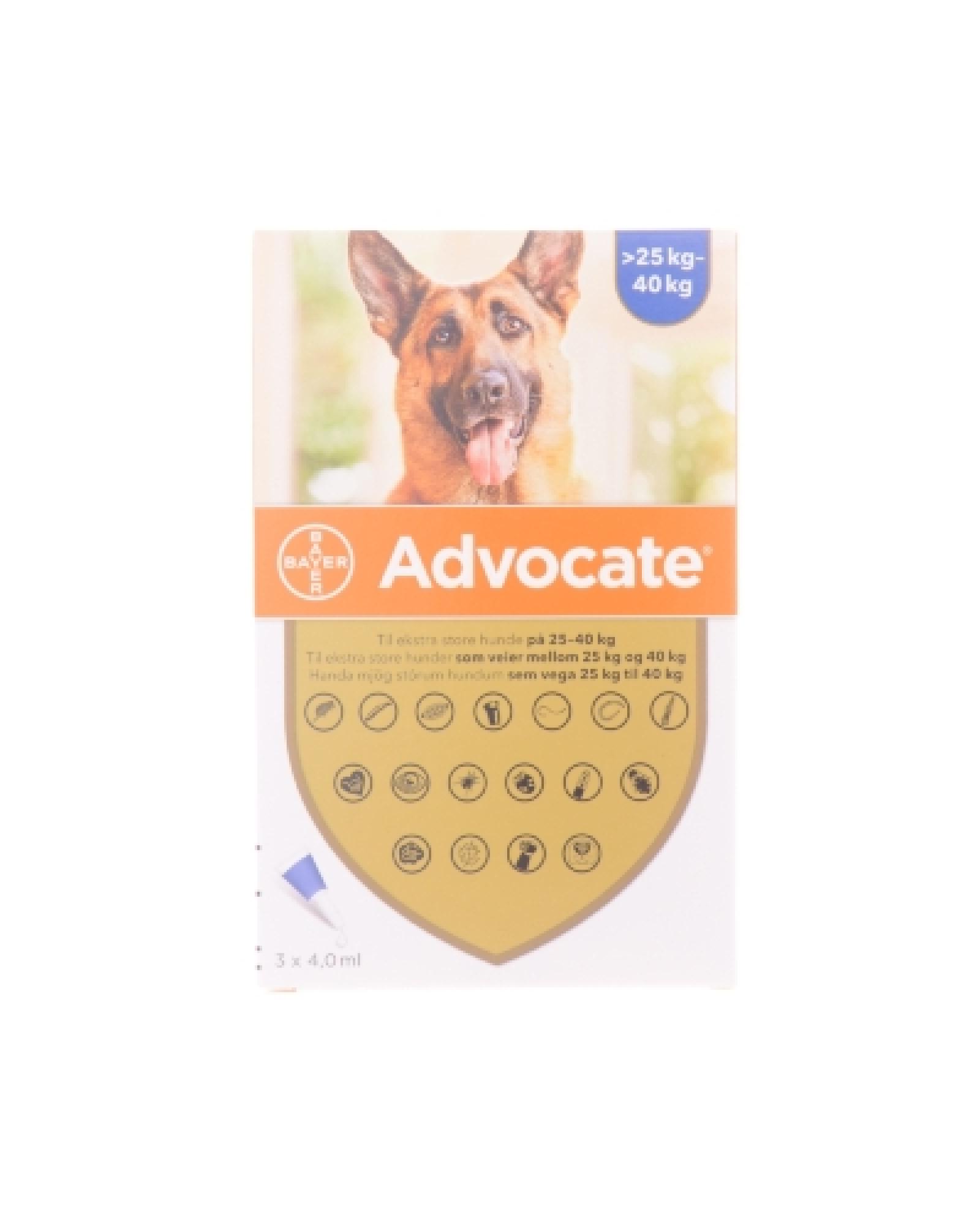 Advocate vet til hund >25-40kg - Apotek 1