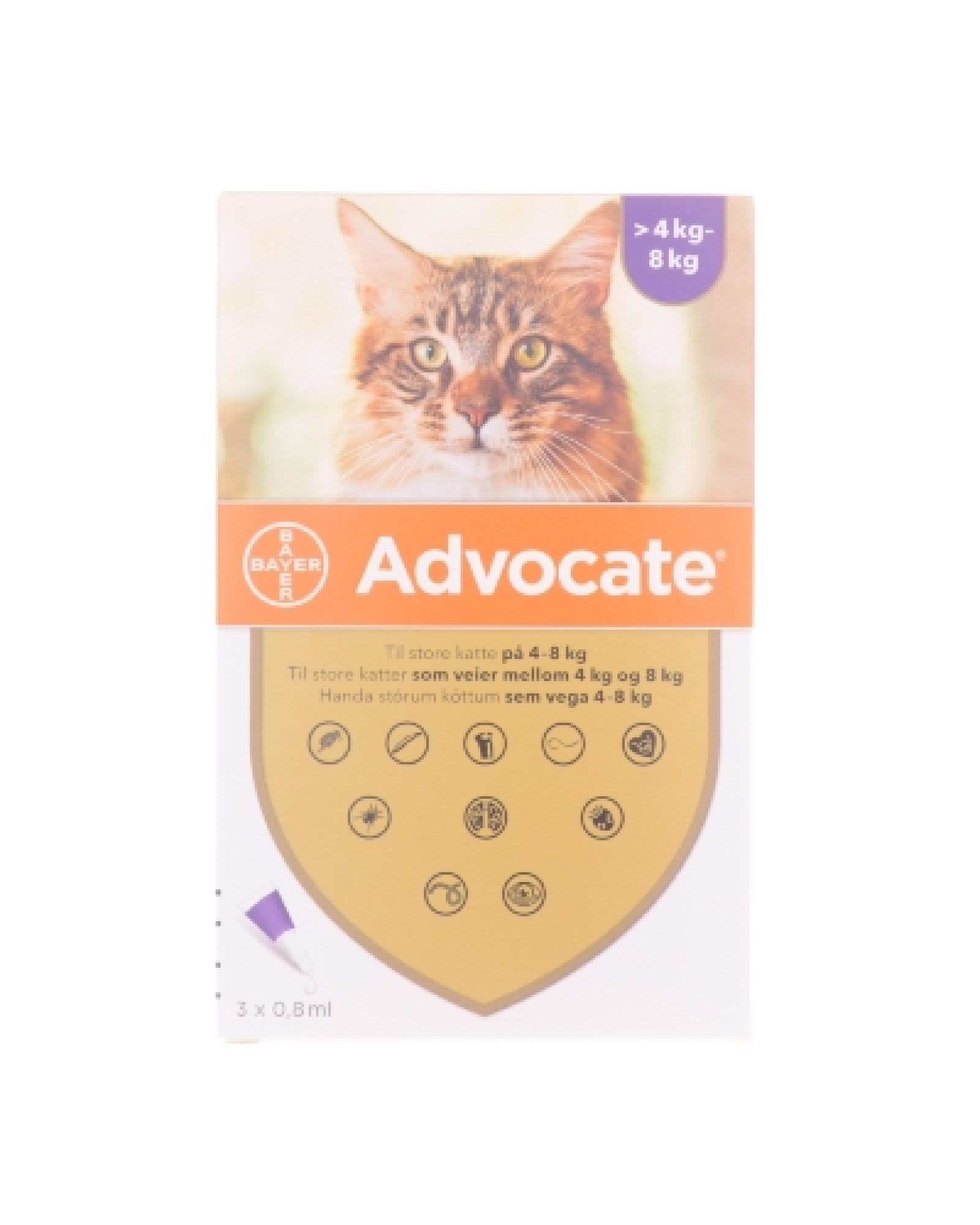 Advocate vet til katt >48kg Apotek 1