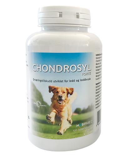 slump korn Give Chondrosyl Forte fôrtilskudd til hund 120stk - Apotek 1